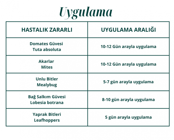 Azaber Biyoinsektisit 1 Lt - Görsel 2