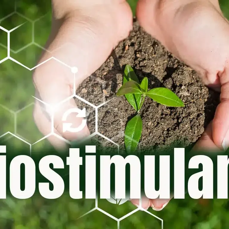 Biostimulant
